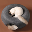 Luxury Felt Cat Donut Villa