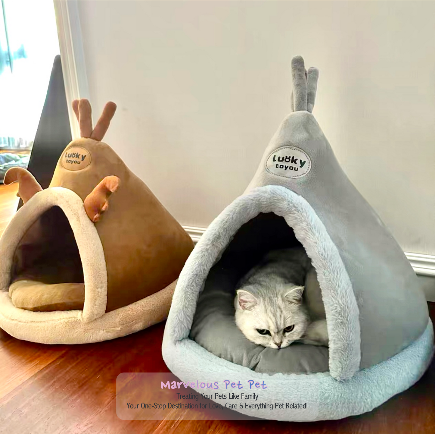 Cozy Tent House & Cat Bed