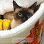 Super-Sized Warm Pet House Kennel in Instant Noodle Fun Design