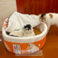 Super-Sized Warm Pet House Kennel in Instant Noodle Fun Design