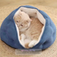 Adorable Short Plush Shell-Dumpling Cat Nest