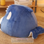 All-Season Cozy Whale-Shape Cat Nest