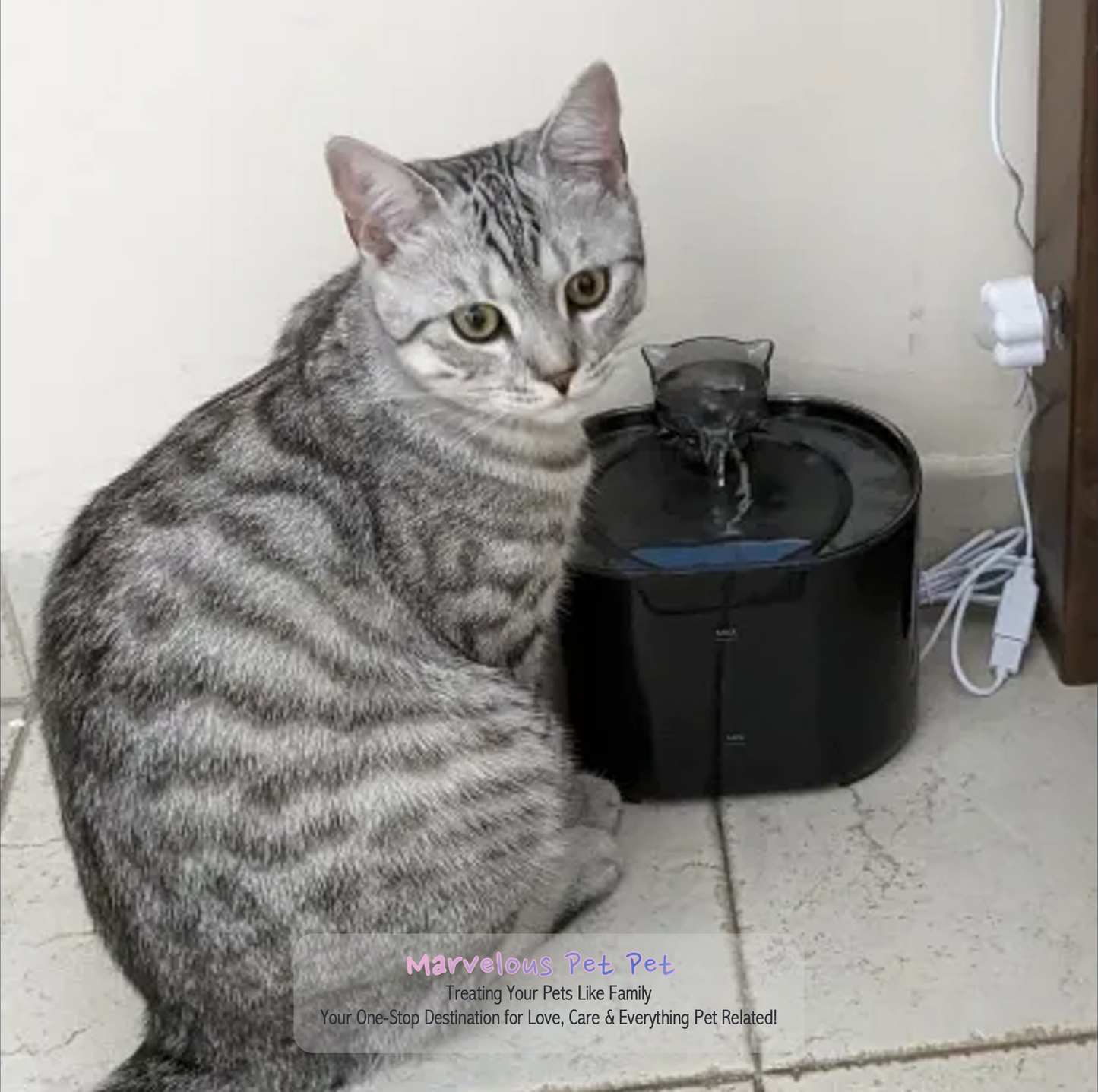 Clever Cat Water Fountain