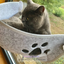 CosyUp CatCloud: Sunlit Kitty Window Hammock