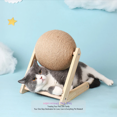 Kitten's Amusement Kit: Cat Scratcher Toy & Entertaining Ball Stand