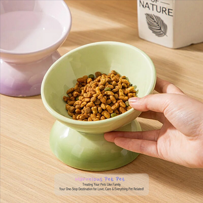 Feast in Style: Gradient Ceramic Pet Bowl for Cats