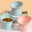 High-Bottom Tilted  Food Bowl for Cats
