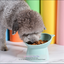 High-Bottom Tilted  Food Bowl for Cats