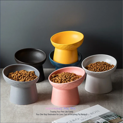 Cat Food & Water Bowl in Matte Finish