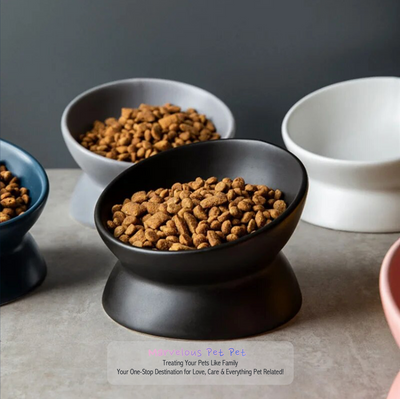 Pet's Culinary Delight: 15° Tilted Elevated Feeding Dish for Small Dogs and Cats