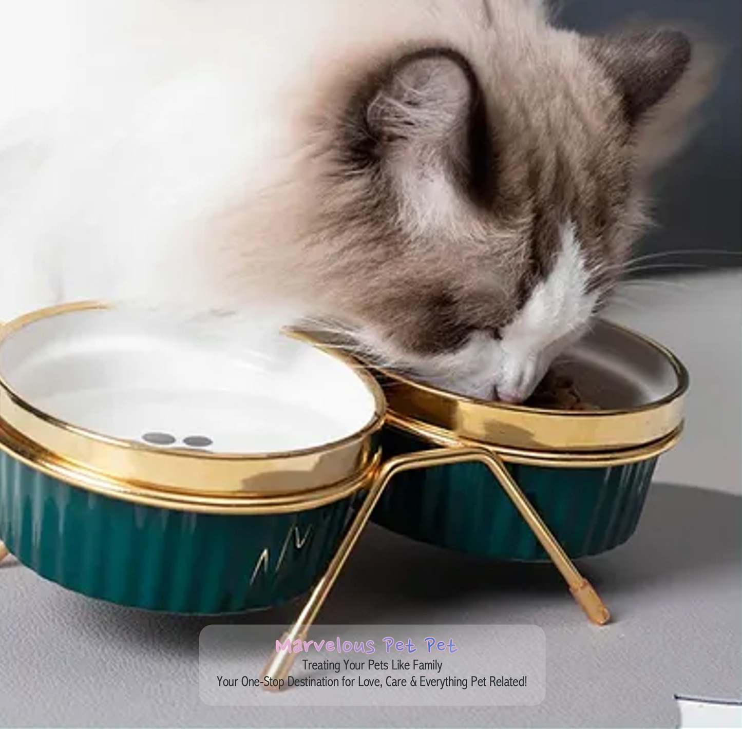 Poursweet Cat Bowl