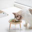 Luxury of Convenience with Chic Ceramic Bowl Suitable for Cats and Small Dogs