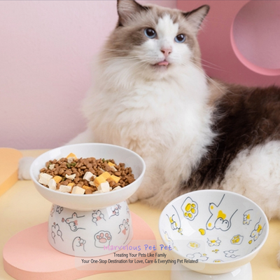 Ceramic High Foot Bowl For Cats