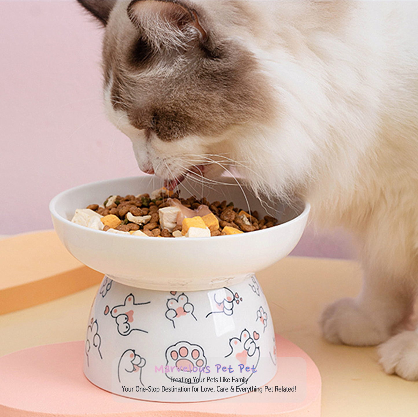 Ceramic High Foot Bowl For Cats