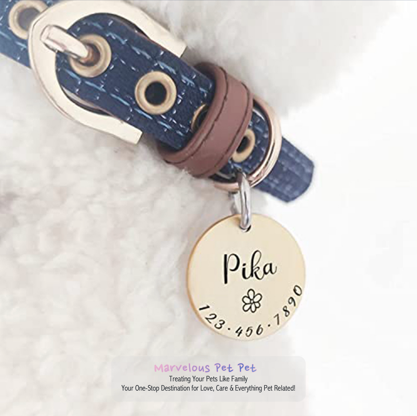 Custom Engraved Pet ID Tag