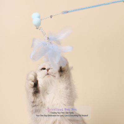 Ins Style' Cat Toy Set! Featuring Funny Feather Wand
