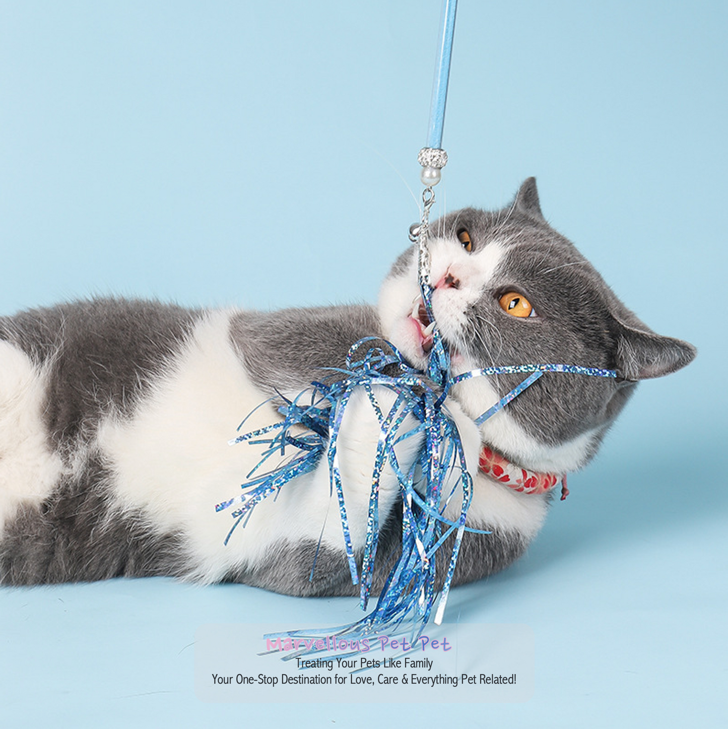 Ins Style' Cat Toy Set! Featuring Funny Feather Wand