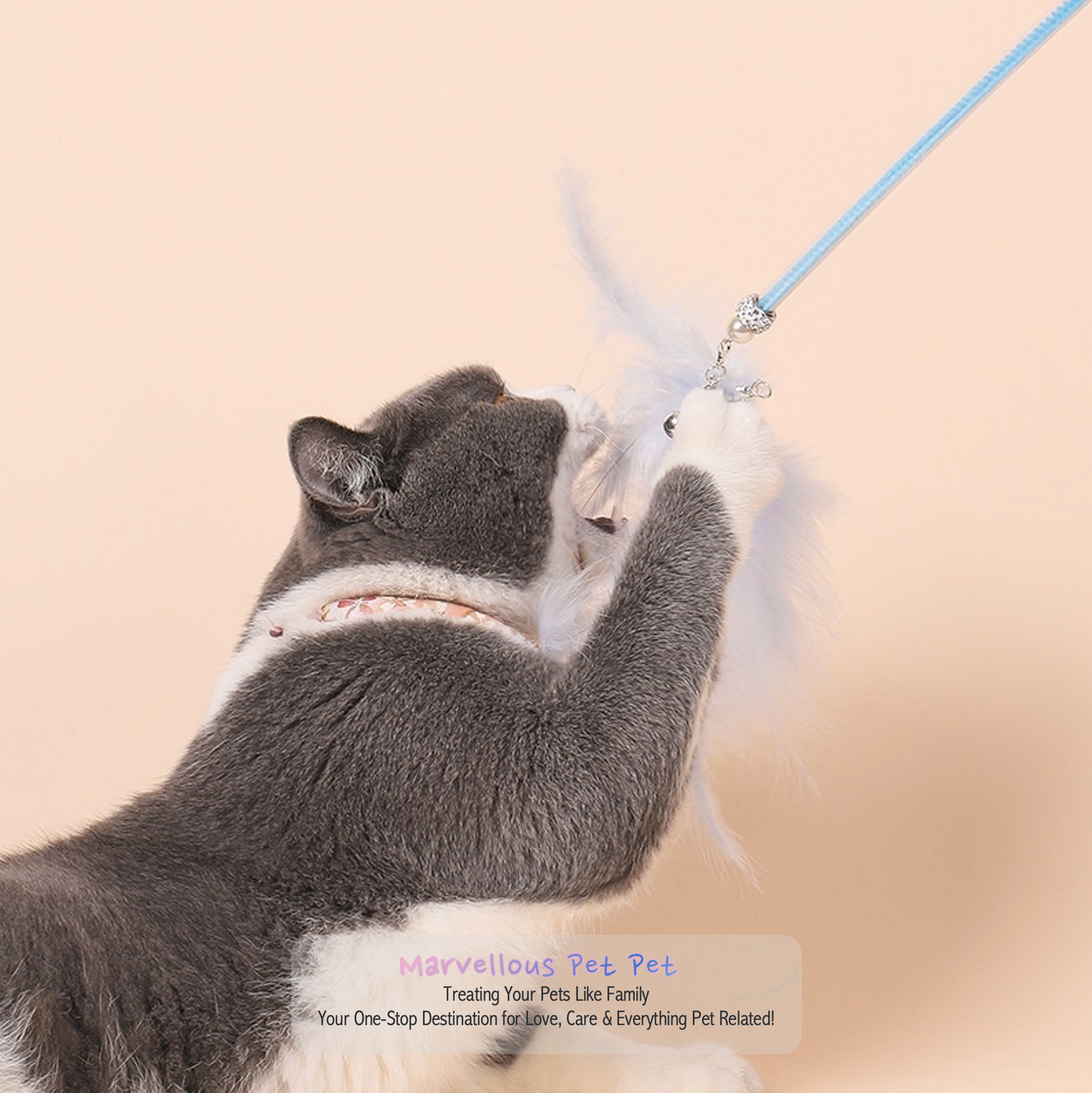 Ins Style' Cat Toy Set! Featuring Funny Feather Wand