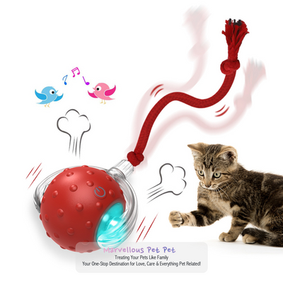 Interactive Feline Fun - New Motion Sensor Cat Toy Ball