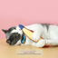 Set of 1/3/4 Adorable Interactive Plush Toys for Cats