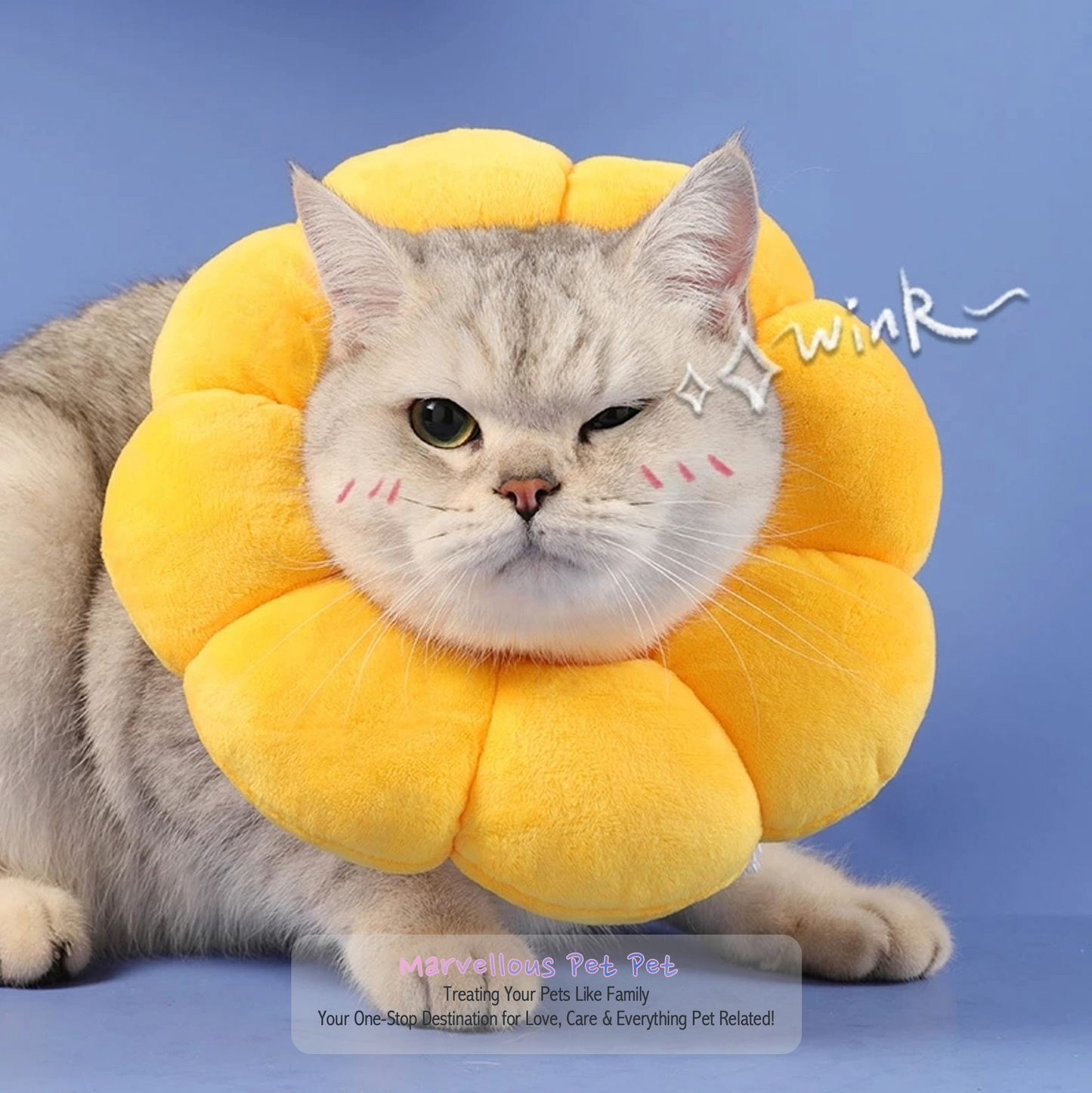 Bask In the Sun: Adjustable Sunflower Pet Collar