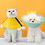 Furry Friend Guardian: Fashionable Elizabethan Pet Collar