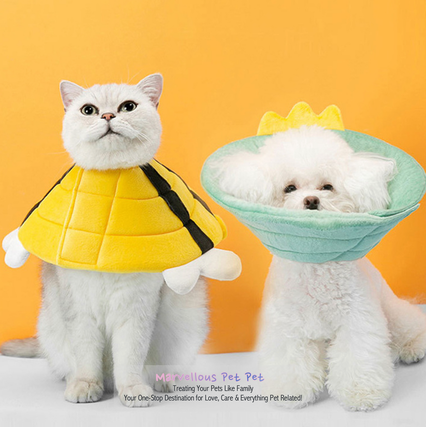 Furry Friend Guardian: Fashionable Elizabethan Pet Collar