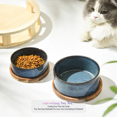 Kitty's Dream: Ceramic Cat Food & Water Bowl