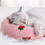 Pet's Dreamy Slumber: U-shaped Neck-guard Pillow for Cats