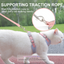 Breathable Nylon Mesh Dog & Cat Harness and Leash Set,