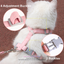 Breathable Nylon Mesh Dog & Cat Harness and Leash Set,