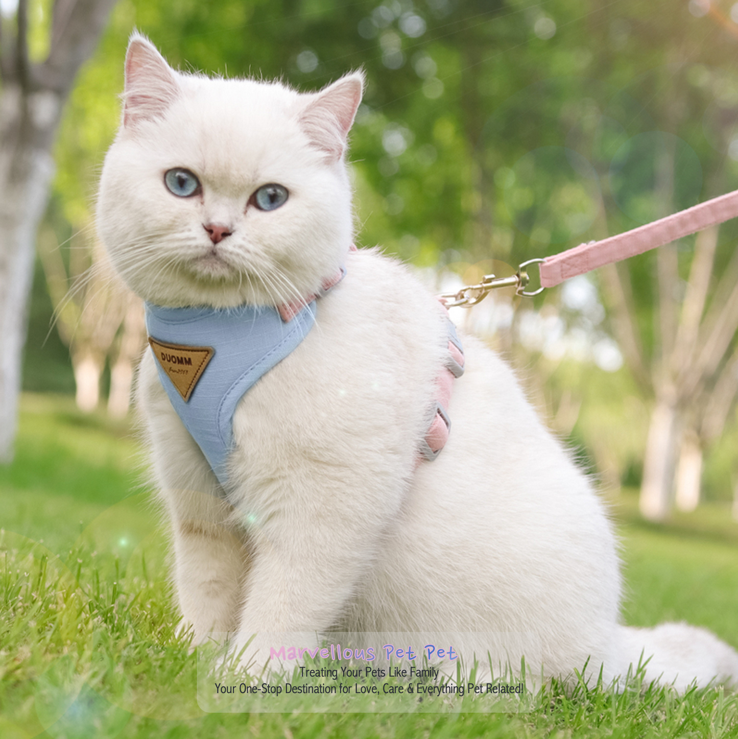 Breathable Nylon Mesh Dog & Cat Harness and Leash Set,