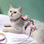 Embrace total control and ultimate comfort :Adjustable Cat Harness Leash Set