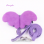 Give your pet Heavenly Upgrade: Angel Wings Pet Harness and Leash Set