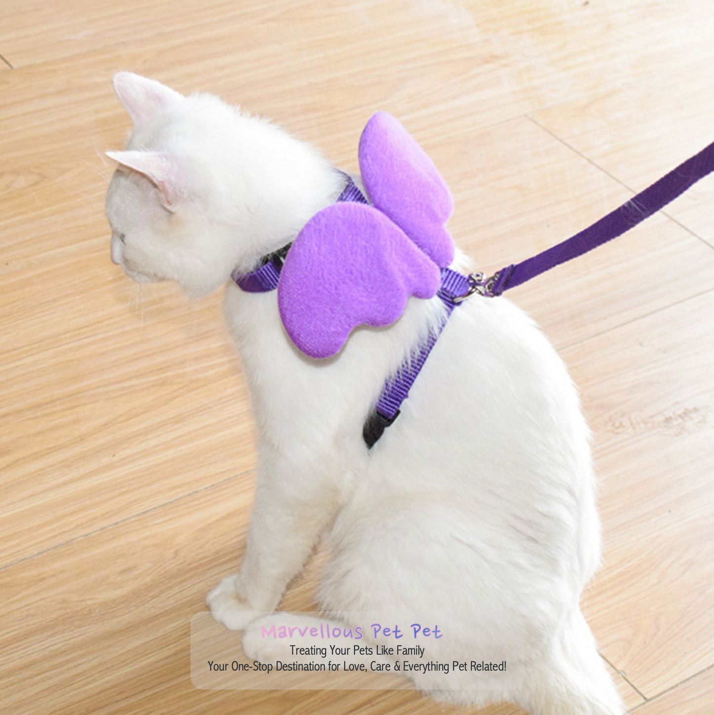 Give your pet Heavenly Upgrade: Angel Wings Pet Harness and Leash Set