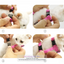 Give your pet Heavenly Upgrade: Angel Wings Pet Harness and Leash Set