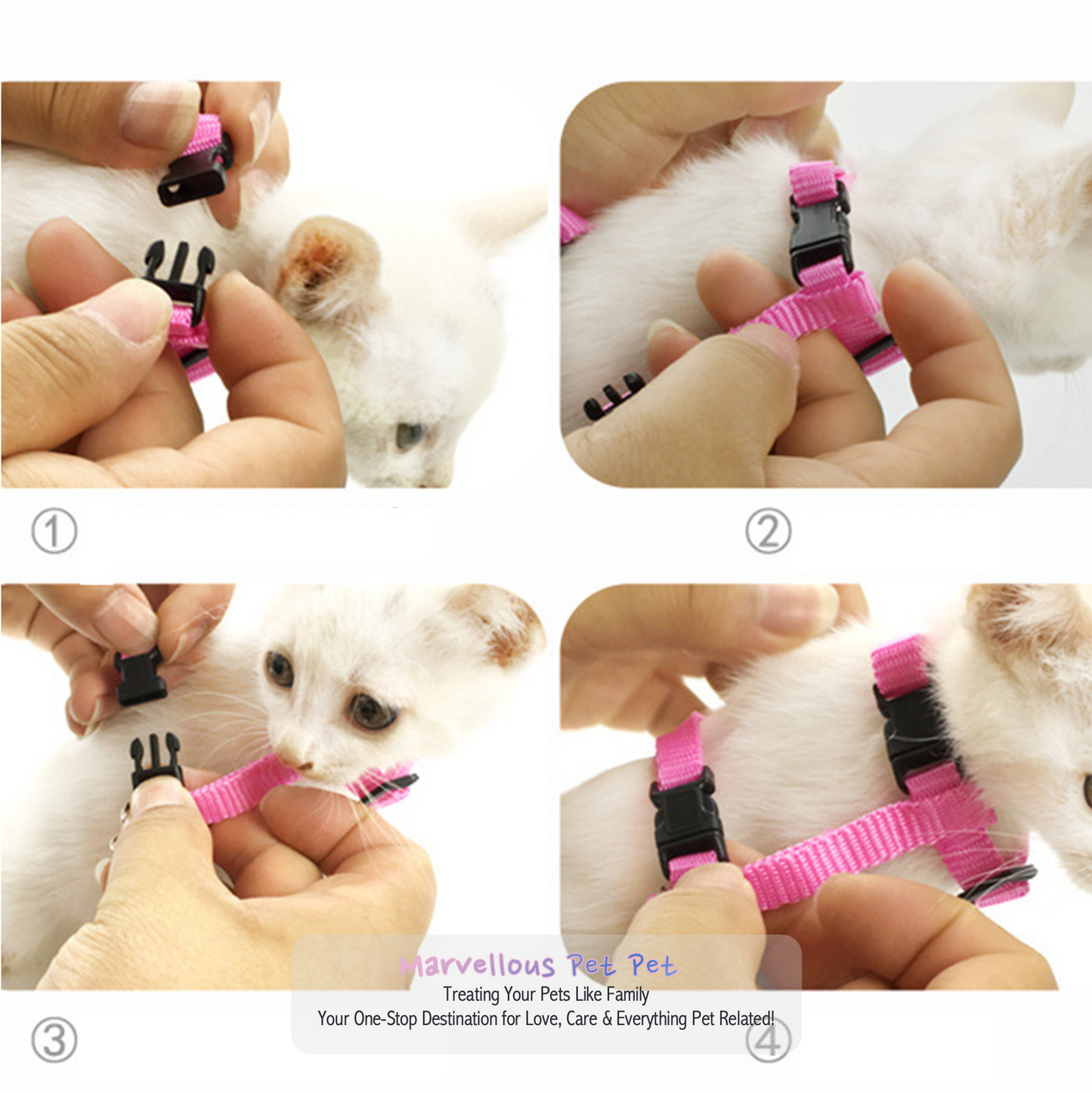 Give your pet Heavenly Upgrade: Angel Wings Pet Harness and Leash Set