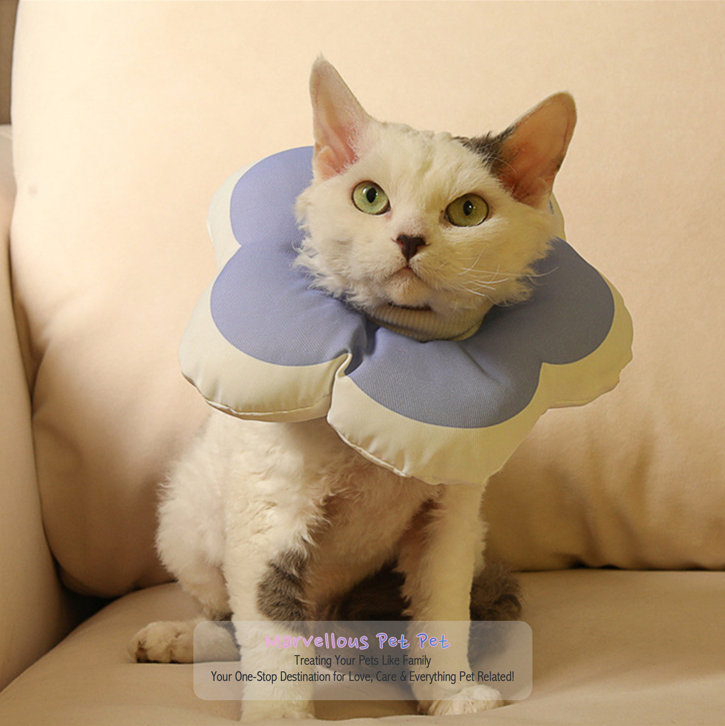 Madden's Anti-Lick & Anti-Bite Cat Neck Cover