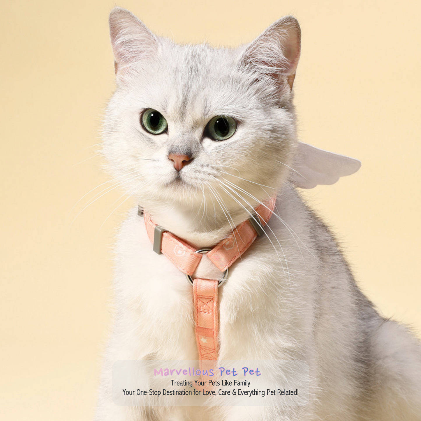 Turn Walks into an Adventure: Sweet Angel Wing Cat Harness