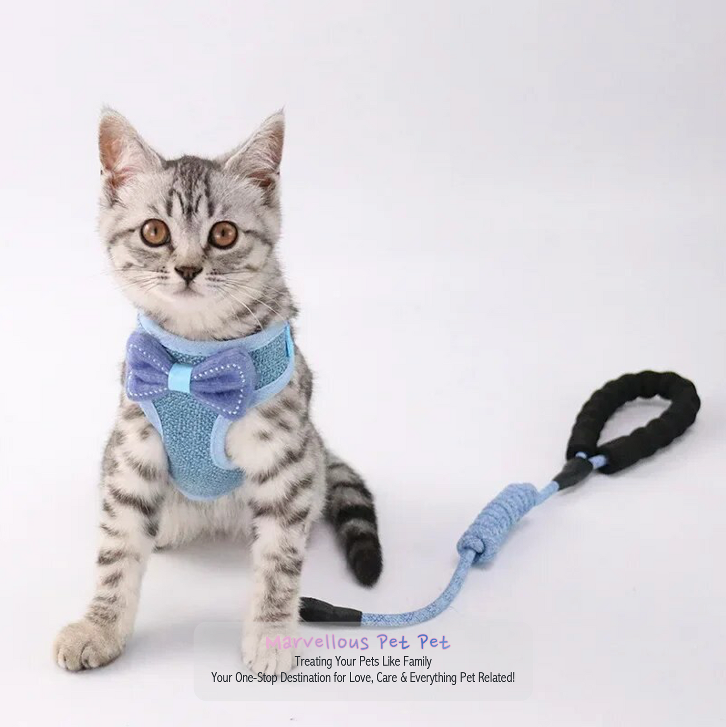 Adorable Cat & Dog Harness Leash Set