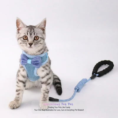 Adorable Cat & Dog Harness Leash Set