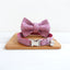 Stylish Cat Collar with Engraved Nameplate & Charming Bell Bow