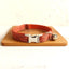 Stylish Cat Collar with Engraved Nameplate & Charming Bell Bow