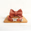 Stylish Cat Collar with Engraved Nameplate & Charming Bell Bow