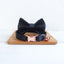 Stylish Cat Collar with Engraved Nameplate & Charming Bell Bow