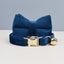 Charming Cat Collar with Adorable Bowknot and Bell Feature