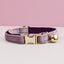 Luxury Velvet Customized Cat Collar