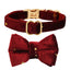 Adjustable Cat Collar with Charming Bowknot