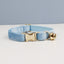 Charming Cat Collar with Adorable Bowknot and Bell Feature