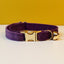 Velvety Cat Collar with Customized ID Tag